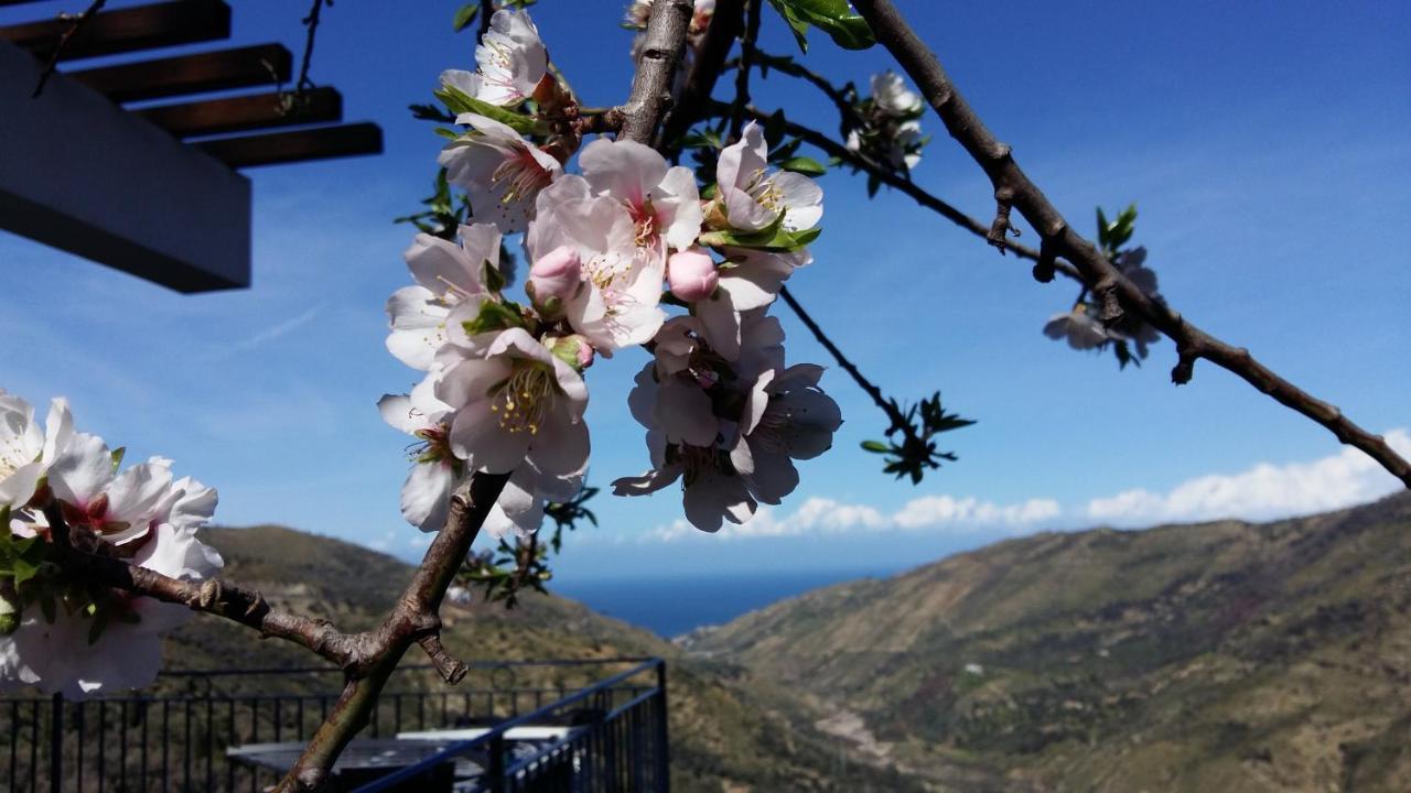Contrada Carmine Bed & Breakfast Reitano  Luaran gambar